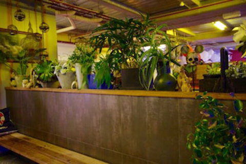 Sow And Piglets Guesthouse - Sunshine Coast Tourism 0