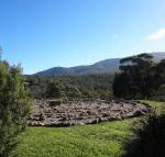 Hawksview at Mafeking - Sunshine Coast Tourism