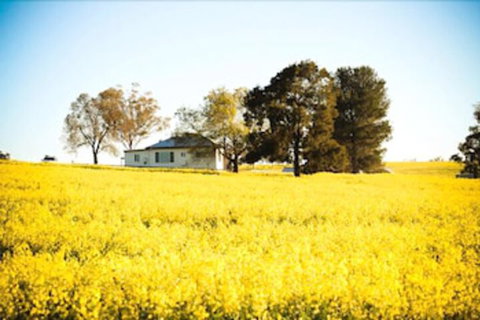 Colenso Country Retreat - Sunshine Coast Tourism 4