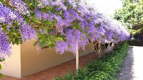Bendles Cottages And Country Villas - Sunshine Coast Tourism 4