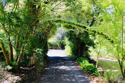 Nagoondie Studio - Holiday Sunshine Coast 3