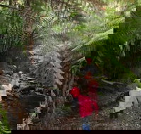 12 Apostles Cottages - Holiday Sunshine Coast