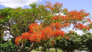 Chatsworth QLD Sunshine Coast Tourism