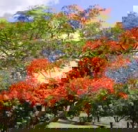 Eastwood Farm - Holiday Sunshine Coast