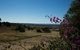 Deshons Retreat - thumb 6