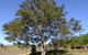 Deshons Retreat - thumb 7