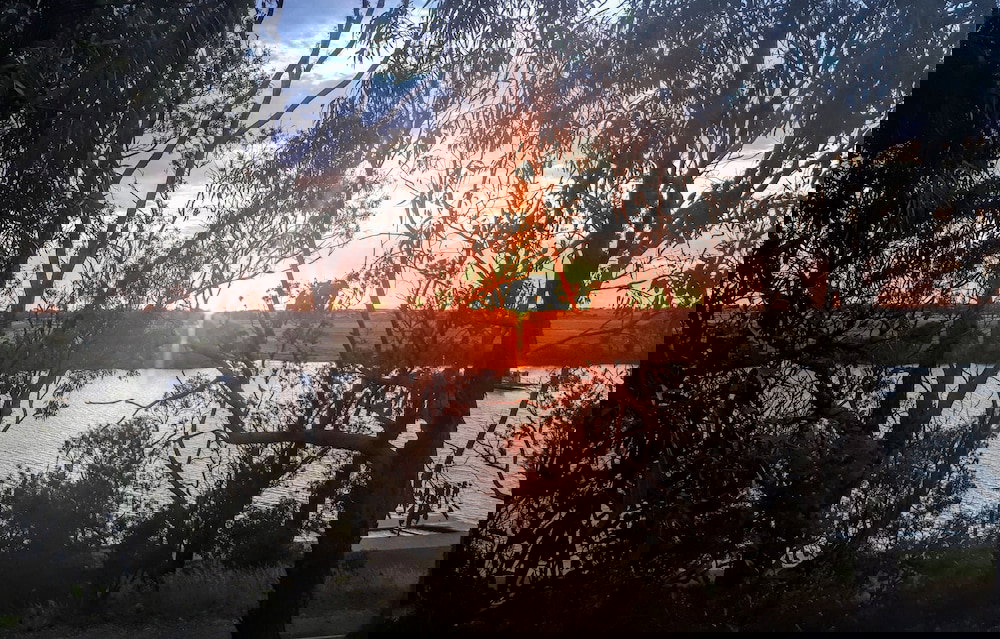  Sunshine Coast Tourism