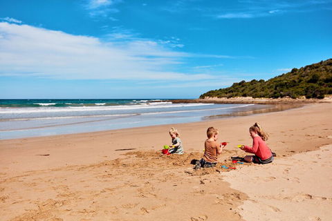 Kennett River Family Caravan Park - Holiday Sunshine Coast 4