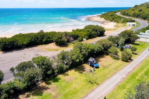 Kennett River Family Caravan Park - Holiday Sunshine Coast 0