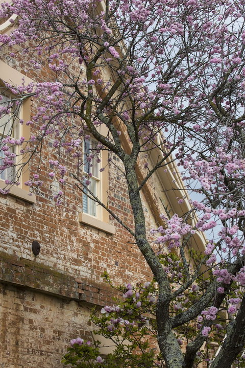 The Racecourse Inn - Holiday Sunshine Coast 0