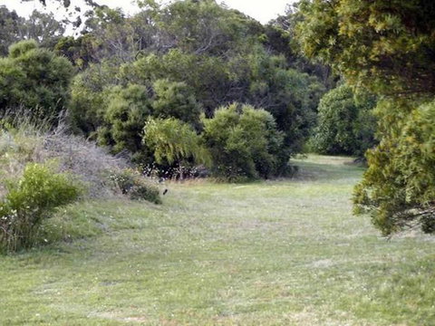 Absolute Waterfront Cottage - Sunshine Coast Tourism 3