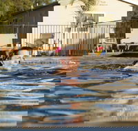Riverside Cabin Park - Sunshine Coast Tourism