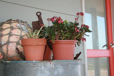 Bremer Bay B & B - Holiday Sunshine Coast 2