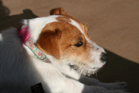 Bremer Bay B & B - Holiday Sunshine Coast 5