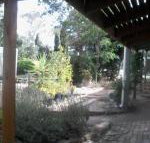 Friends in Harcourt North - Holiday Sunshine Coast