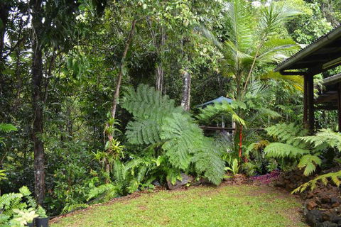 Tropical Bliss Bed & Breakfast - Holiday Sunshine Coast 6
