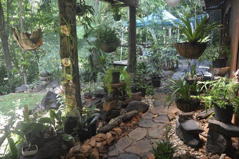 Tropical Bliss Bed & Breakfast - Holiday Sunshine Coast 2
