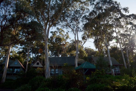 Great Ocean Road Cottages - Sunshine Coast Tourism 1