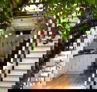 Viola at Hepburn Springs - Sunshine Coast Tourism