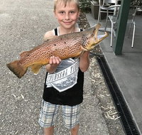 Eildon Pondage Holiday Park - Holiday Sunshine Coast