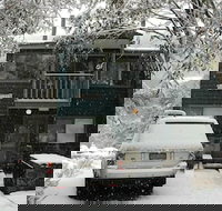 Three Bears 3 - Holiday Sunshine Coast