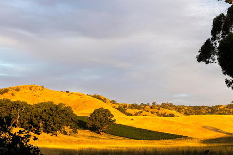 Dairymans Cottage - Sunshine Coast Tourism 6