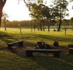 Wallaby Cottage cute Accom in bushland setting - Sunshine Coast Tourism