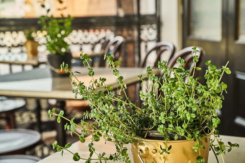 The Bronte Boutique Hotel - Sunshine Coast Tourism 4