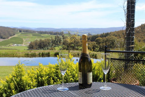 Cherryview Cygnet - Sunshine Coast Tourism 5