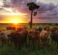 Myella Farm Stay - Holiday Sunshine Coast
