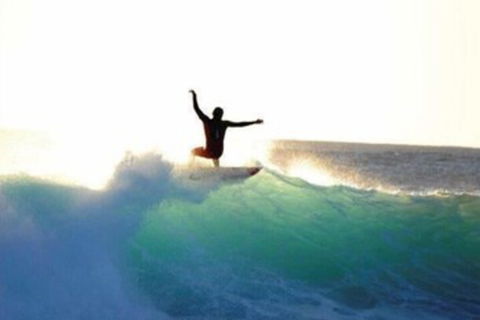 Nautilus Retreat - Holiday Sunshine Coast 7