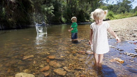 Mystic View Cottage Wandiligong - Sunshine Coast Tourism 4