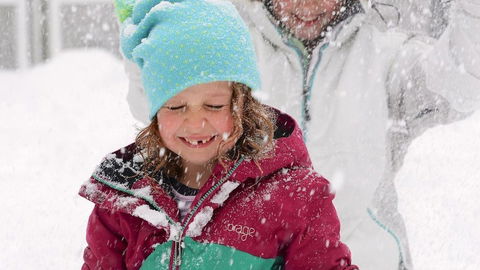 Mystic View Cottage Wandiligong - Sunshine Coast Tourism 3