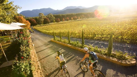 Mystic View Cottage Wandiligong - Sunshine Coast Tourism 5