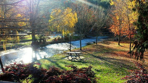 Mystic View Cottage Wandiligong - Sunshine Coast Tourism 2