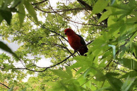 The Studio Yarra Valley - Sunshine Coast Tourism 7