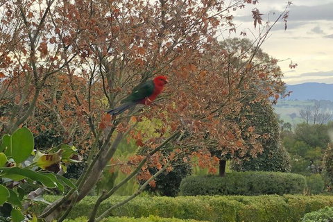 The Studio Yarra Valley - Sunshine Coast Tourism 4