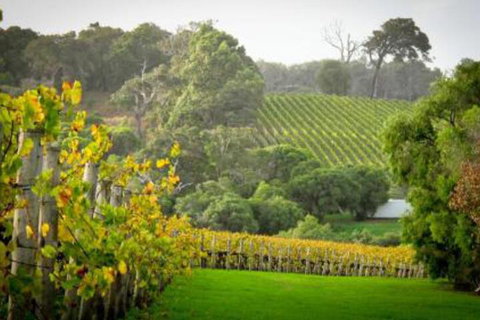 41 Grunters Accommodation - Holiday Sunshine Coast 3