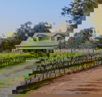 Emmas Cottage Vineyard