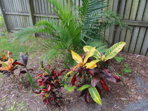 Beachside - Sunshine Coast Tourism 4