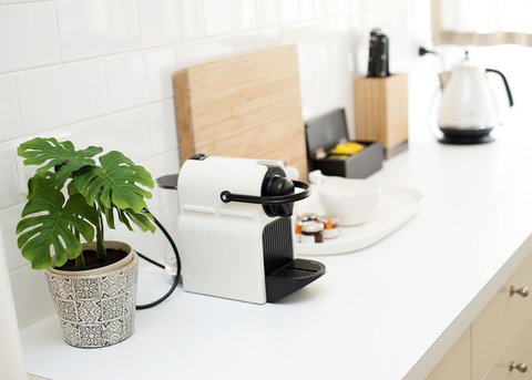 Driftwood House - Holiday Sunshine Coast 3