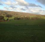 Mancuso Country Cottage Retreat - Holiday Sunshine Coast