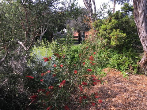 Andrews On Topaz - Holiday Sunshine Coast 6