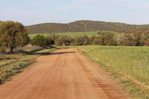 Northbrook Farmstay - Sunshine Coast Tourism 4