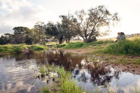 Northbrook Farmstay - Sunshine Coast Tourism 0