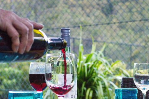 Garasu Lodge - Sunshine Coast Tourism 7