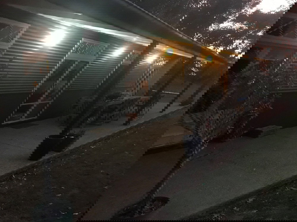 Booroobin QLD Holiday Sunshine Coast