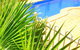 Roma Mid Town Motor Inn - thumb 3