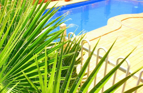 Roma Mid Town Motor Inn - Sunshine Coast Tourism 3