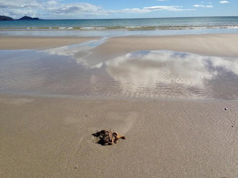 Sisters Beach House - Holiday Sunshine Coast 6